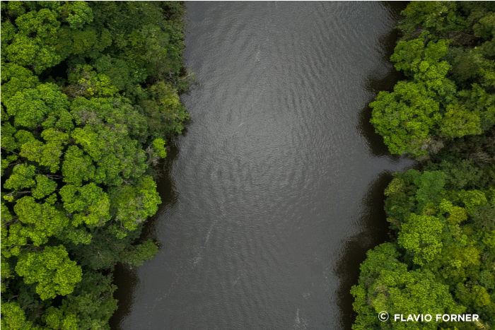 imagen de Flavio Forner